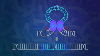 "Illustration of jumping genes interacting with DNA strands during cell division"