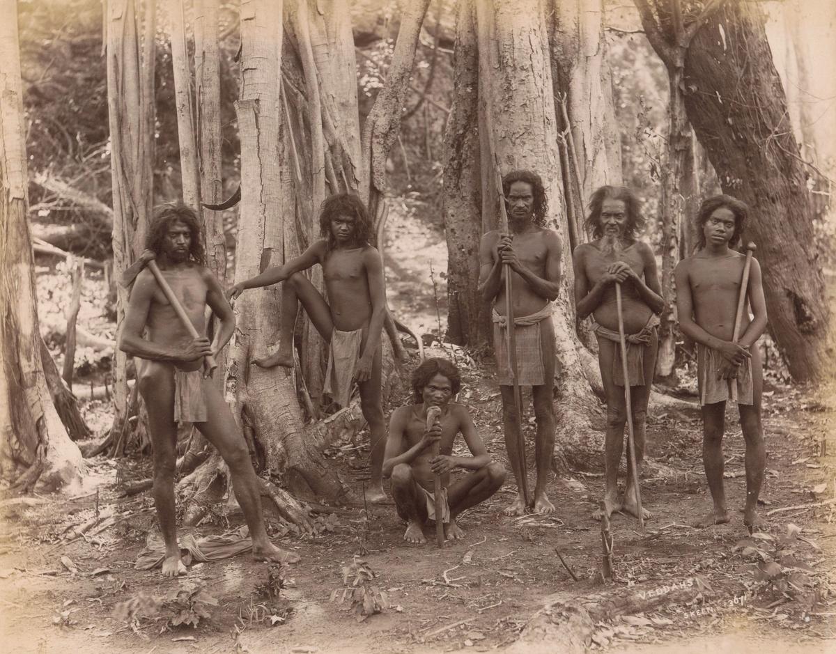 Illustration showing migration of Sinhalese from Southern India and interaction with Adivasi communities in ancient South Asia.